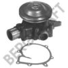 RENAULT 5001837292 Water Pump